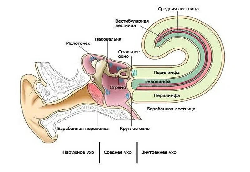 Слуховой аппарат